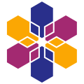 企业信息系统技术领导者