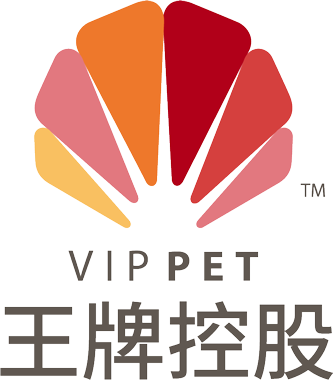 青岛王牌控股有限公司