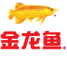 柯尼科官方网站