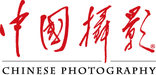 首页