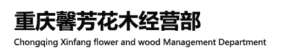 绿植租赁