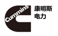 康明斯发电机
