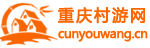 重庆村游网