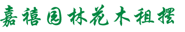 首页