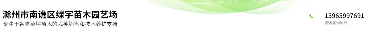 滁州市南谯区绿宇苗木园艺场