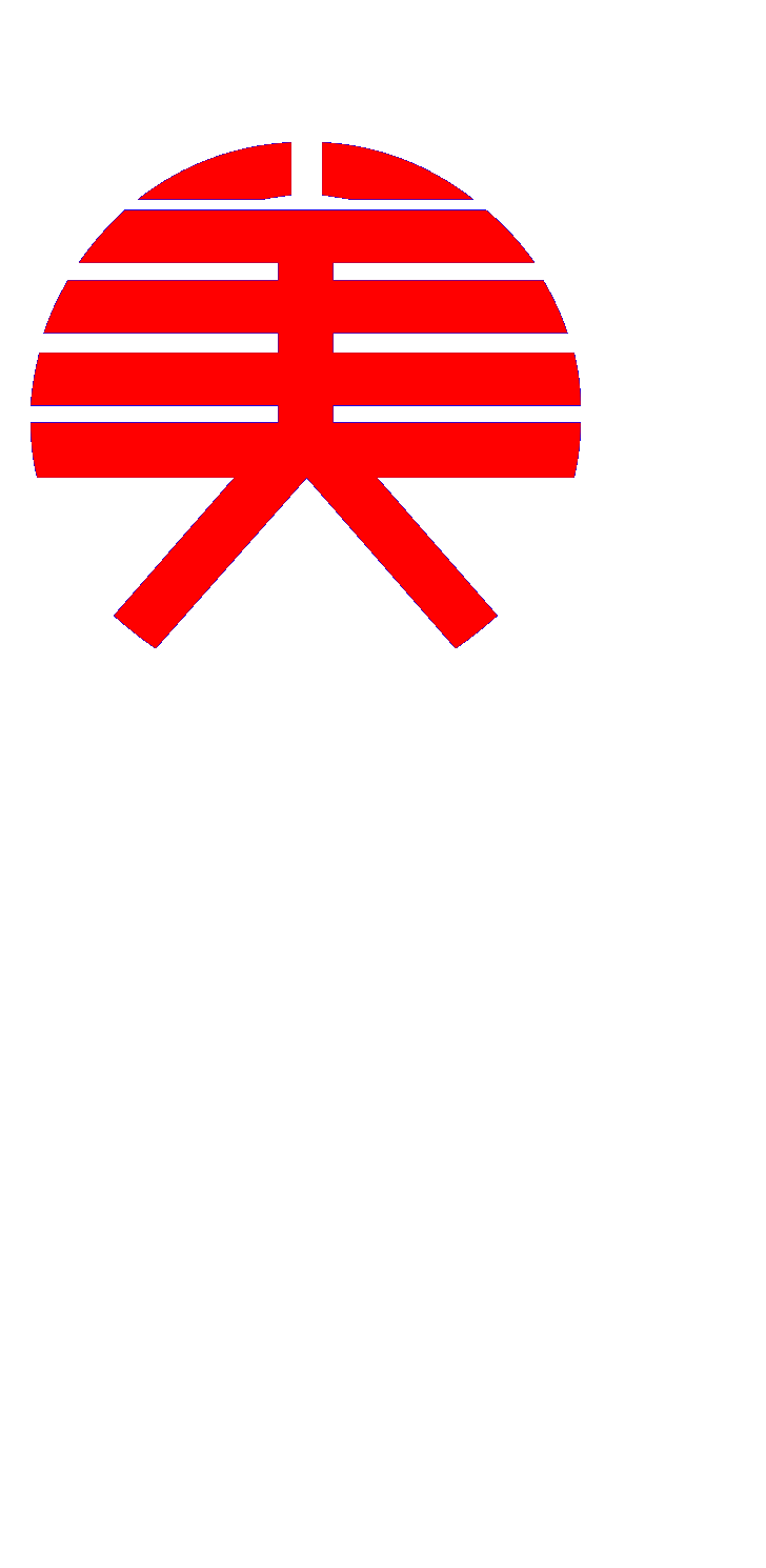 大美羊定制