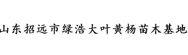 山东大叶黄杨