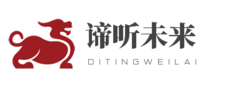 谛听未来科技有限公司