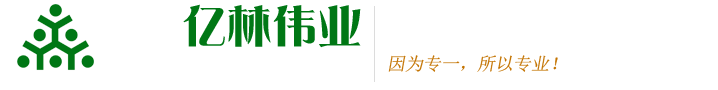 运动木地板,体育木地板,舞台木地板