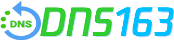 DNS163二级域名分发