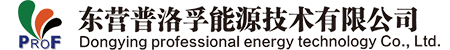 东营普洛孚能源技术有限公司
