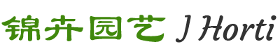 首页