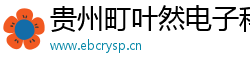 贵州町叶然电子科技有限公司
