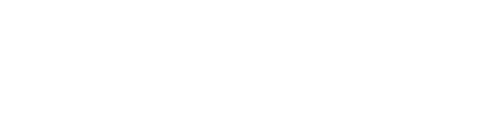 易科奇技术
