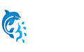 组网互联专线