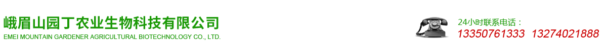 首页