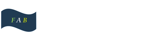 深圳市友飞杰科技有限公司,5.8G图传模块，WIFI模块