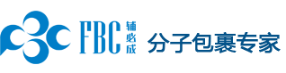 辅必成（上海）医药科技有限公司