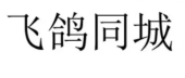 飞鸽同城网
