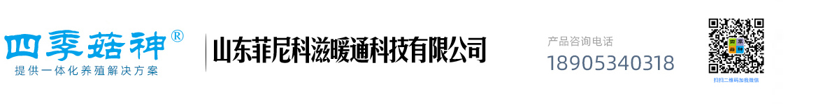 四季菇神