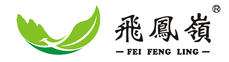 陕西省西乡县茶业有限责任公司