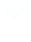保险科技公司