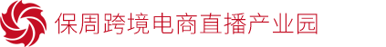 保周跨境电商直播产业园