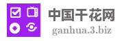 中国干花网