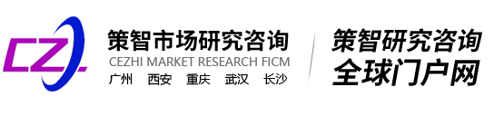 广州市场调研公司