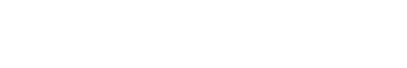 大聪网络