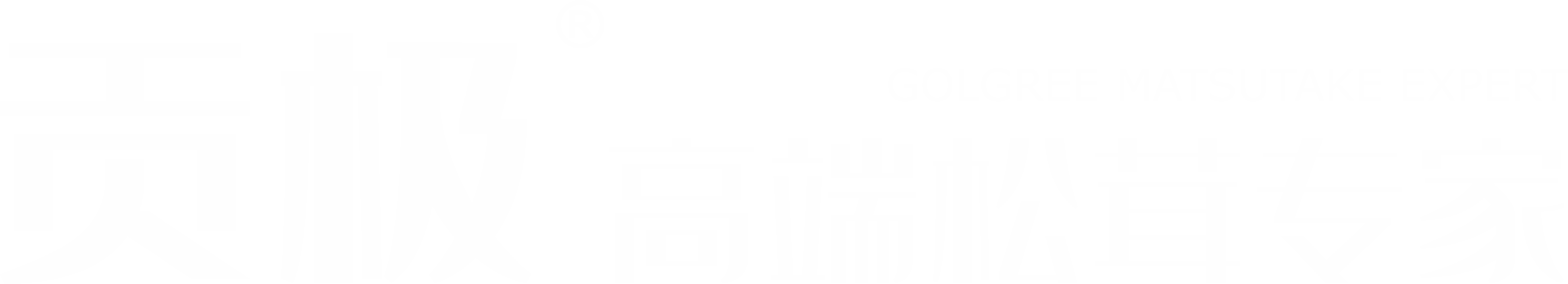 贡极松茸