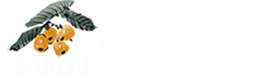 苏州东山白玉枇杷采摘网