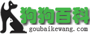 养狗注意事项