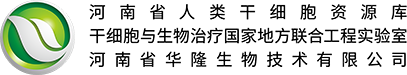 干细胞
