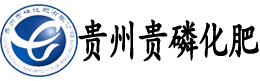 贵州贵磷化肥有限公司