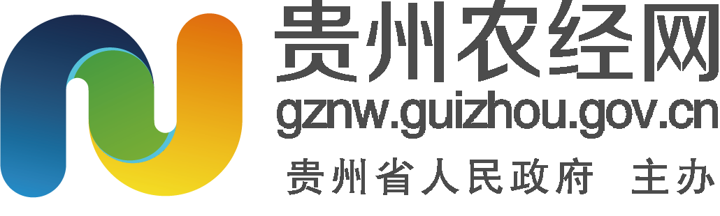 首页