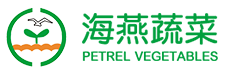 大连炮台海燕蔬菜专业合作社