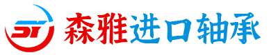 SKF进口轴承