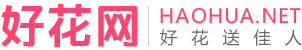 鲜花网