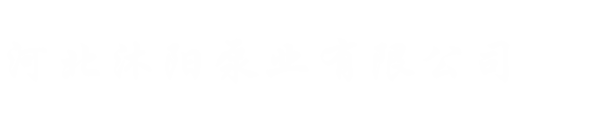 渣浆泵