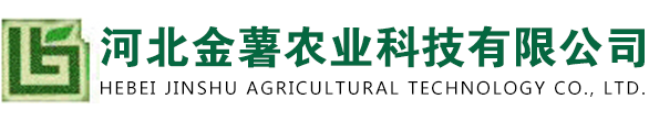 河北红薯