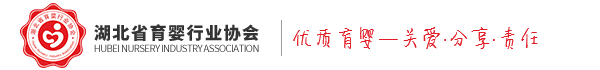 湖北省育婴行业协会