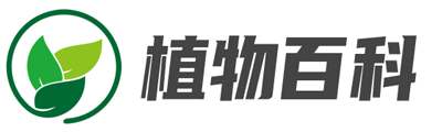 口琴学习教程,吉它学习教程,吉他曲谱