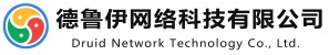 德鲁伊网络科技首页