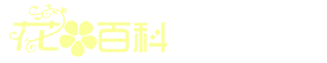 河南光之明文化传播有限公司
