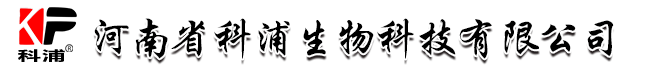 首页