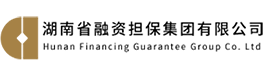 湖南省融资担保集团