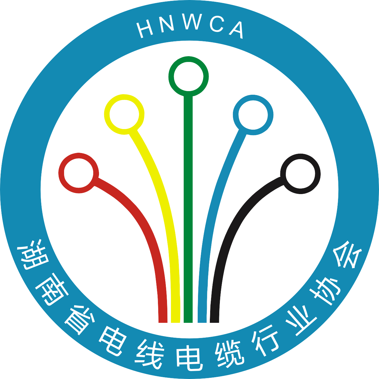 湖南省电线电缆行业协会