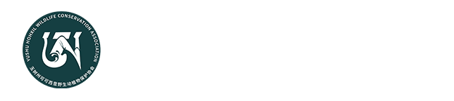 青海省玉树州可可西里野生动植物保护协会