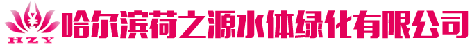 荷之源